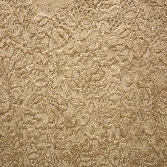 Emma James By Liz Claiborne Company Lace Pale Olive Blouse - Size XL - Picture 2 of 6